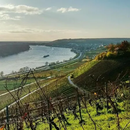 Lejlighed Landskrone Oppenheim