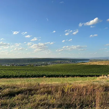 Landskrone Oppenheim