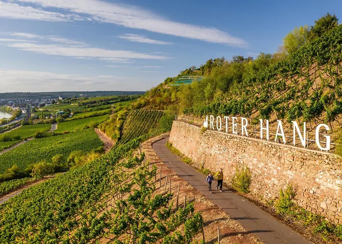 Landskrone Appartement Oppenheim